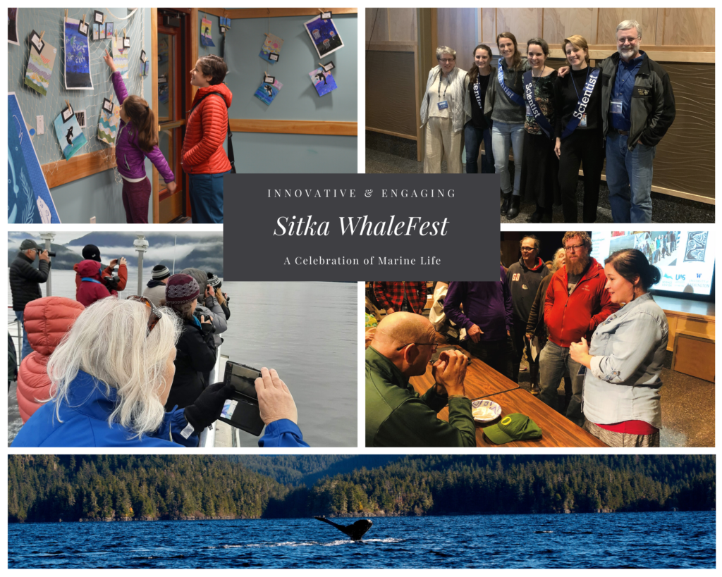 Mark your Calendars! Sitka WhaleFest Nov 47, 2021 Sitka Whalefest